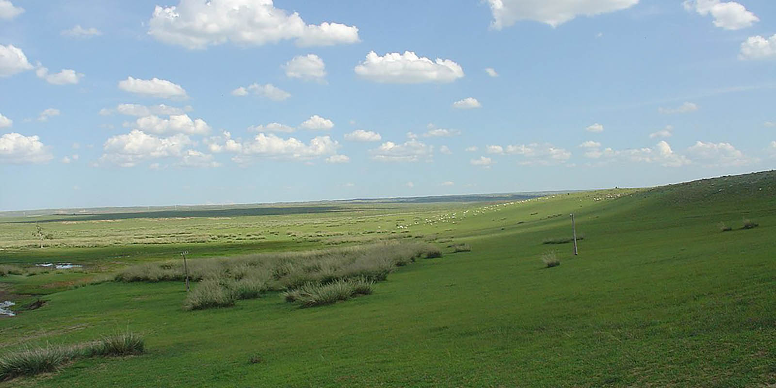 52889156920_c2e0978792_o-1