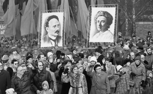 6. Rosa Luxemburg over individu en collectief