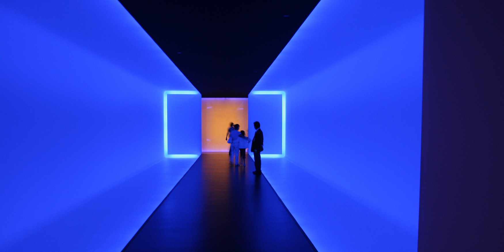 53009436842_021e44386e_o-1