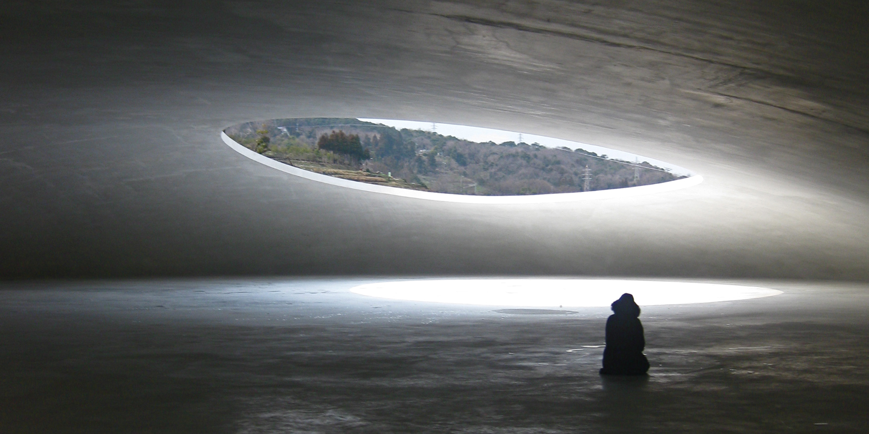 53010510218_accbd01747_o-1