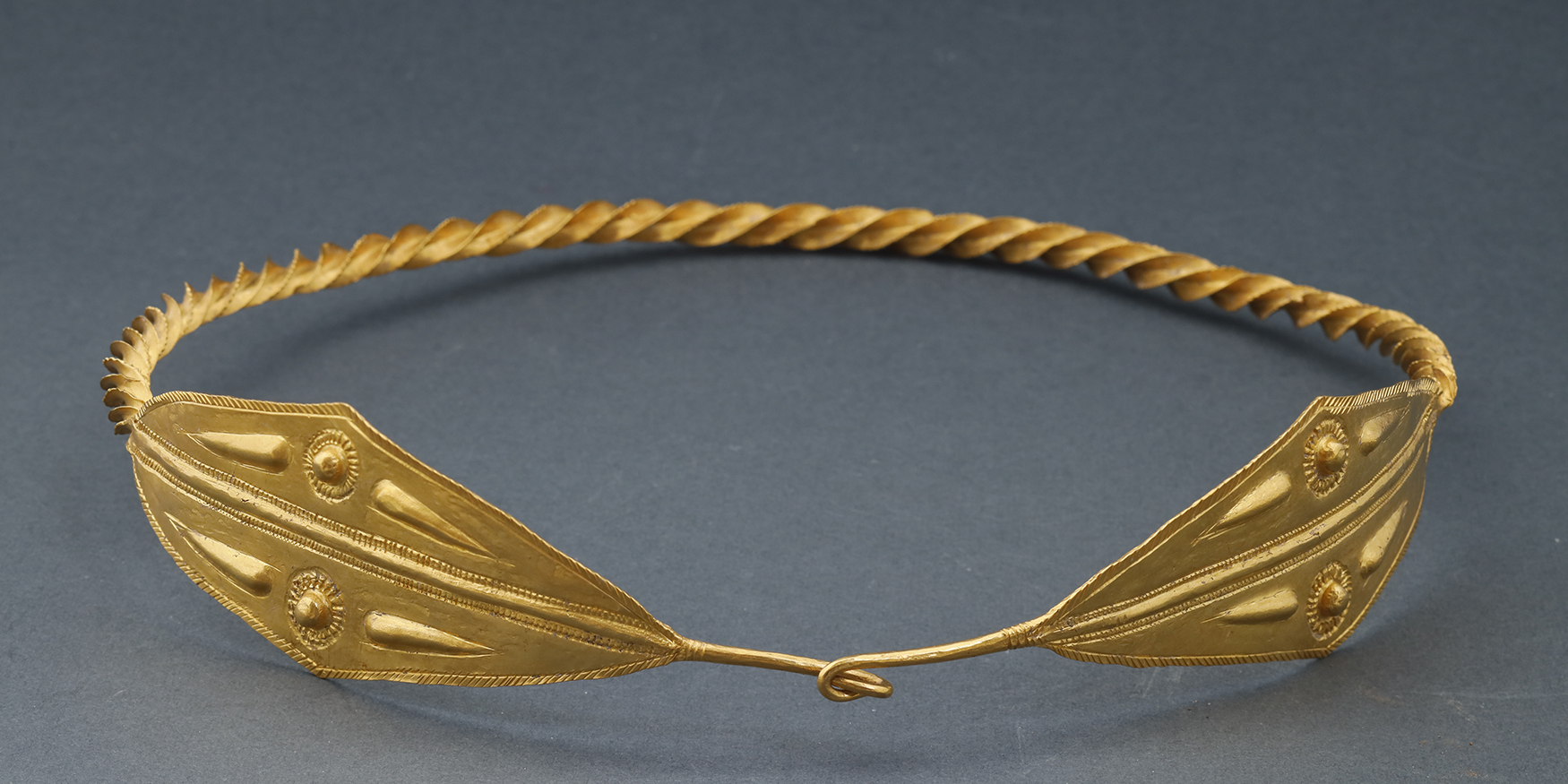 53007239387_3334b4e916_o-1