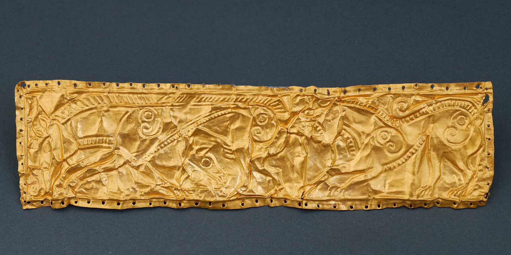 53007830876_27c29d2fc3_o-1