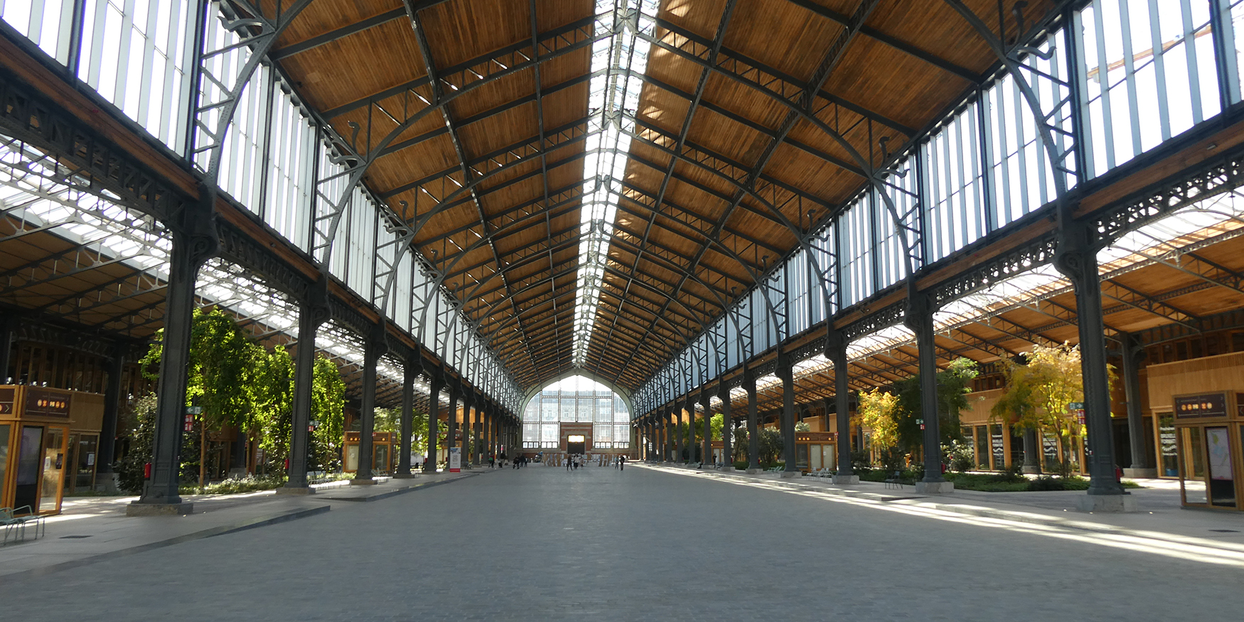 53170707925_2995639ee5_o