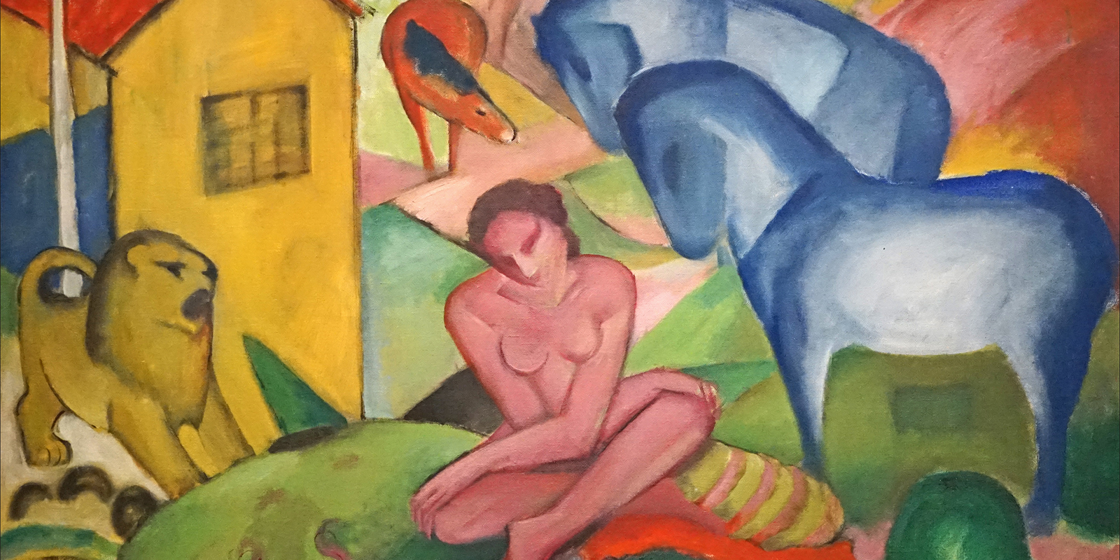 52404324249_401ded8267_o