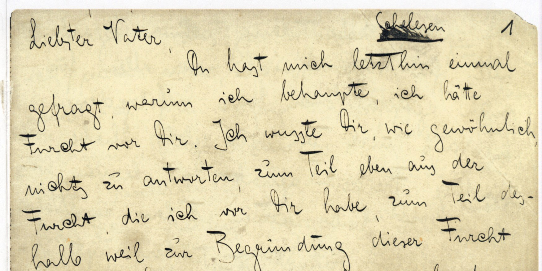 53501372327_81d8186780_o-2