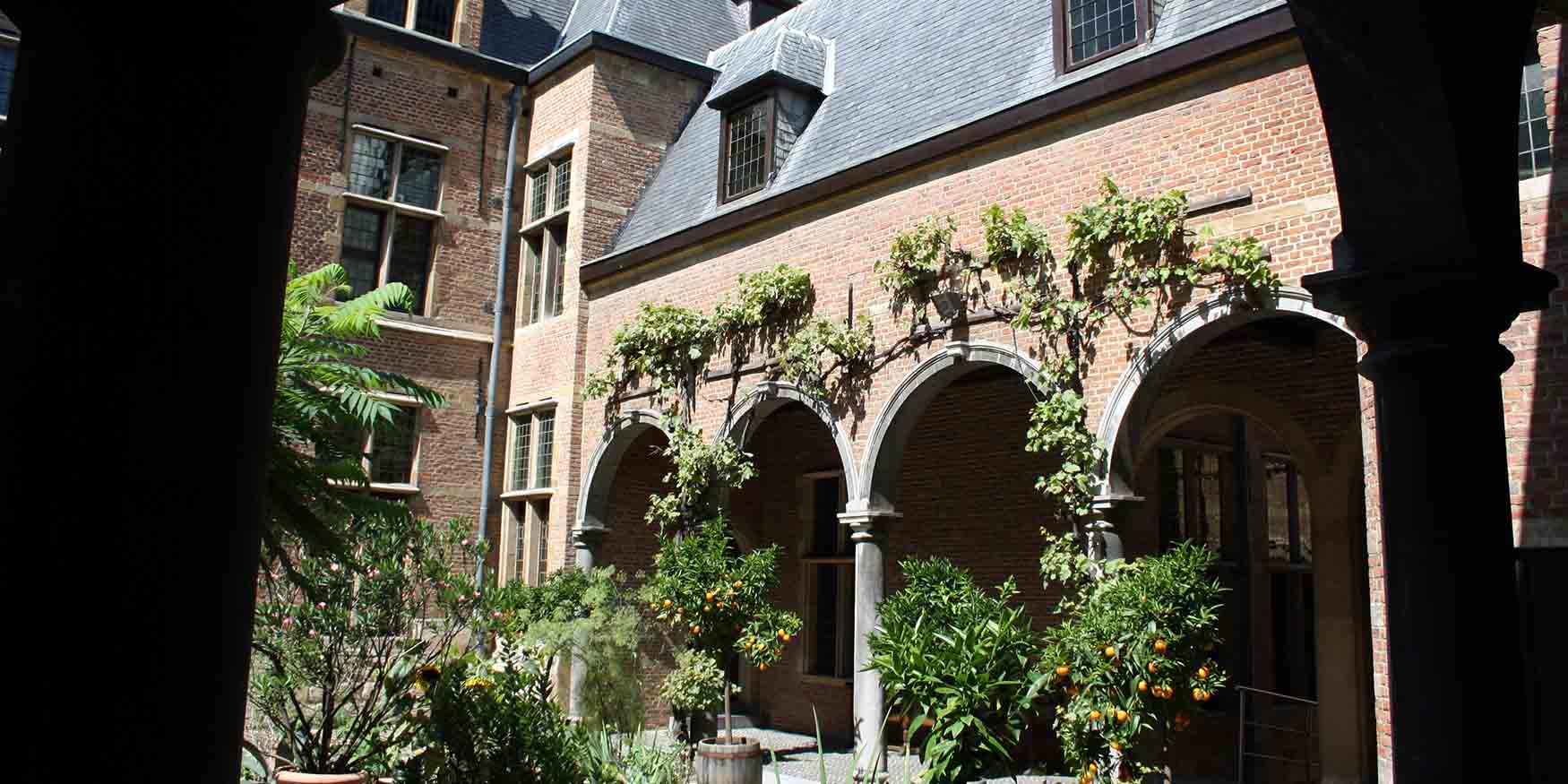 53502677829_67849f5c12_o