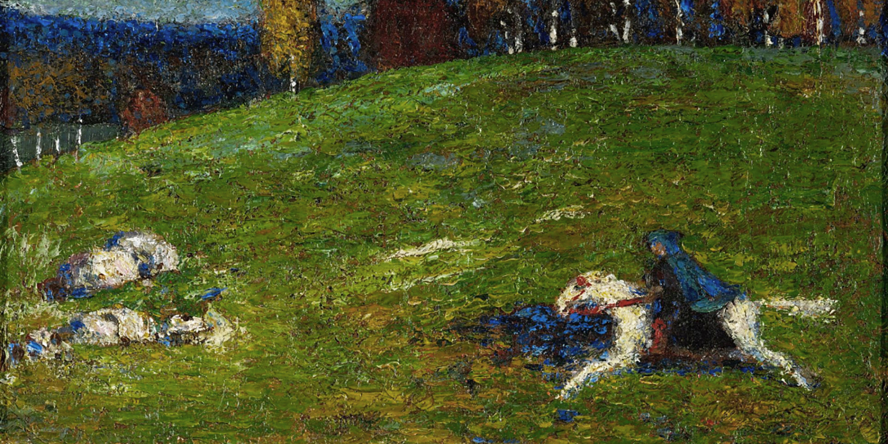 53502405818_7c15a2e0f7_o