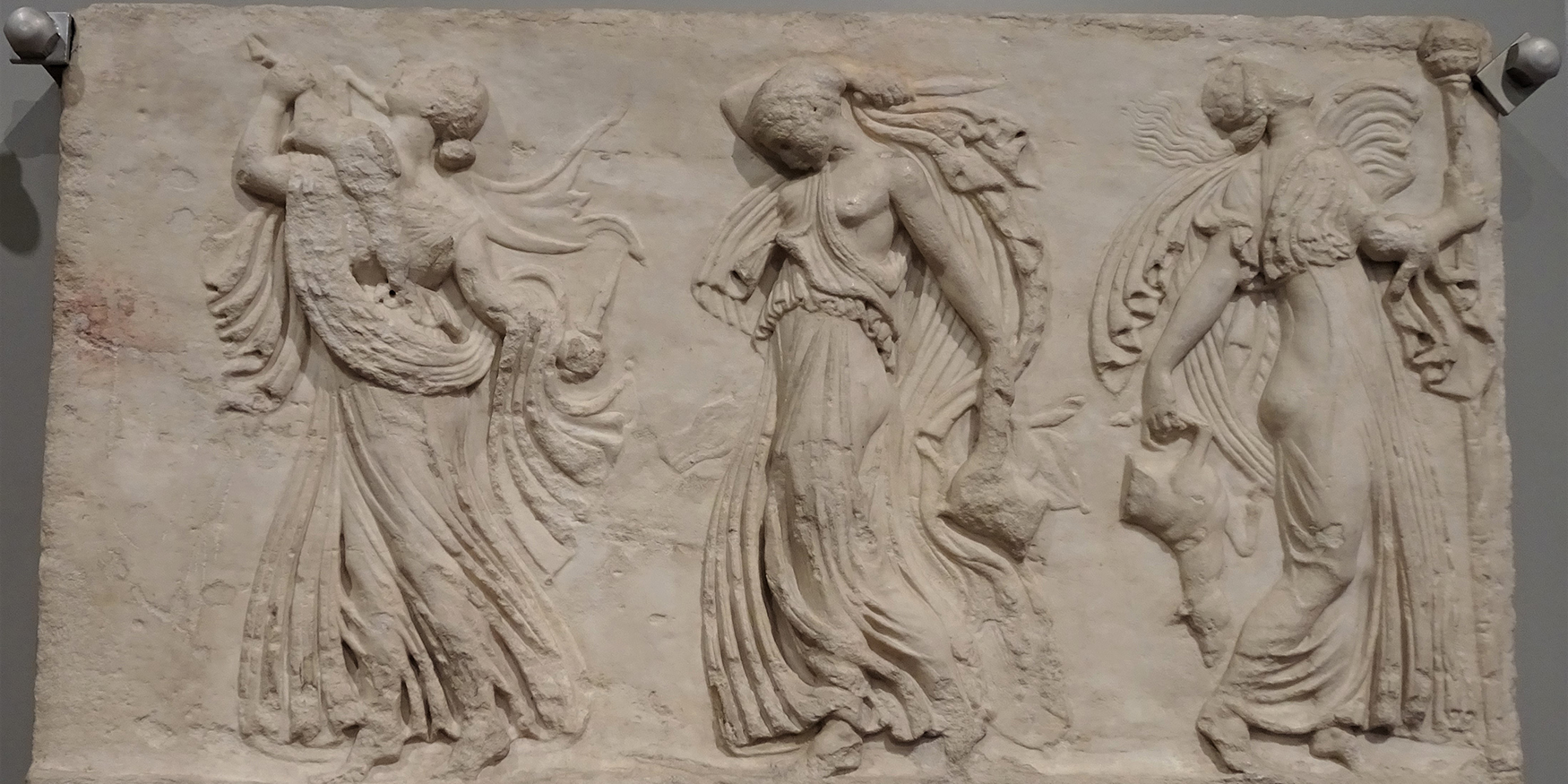 53502587509_27f89a872d_o