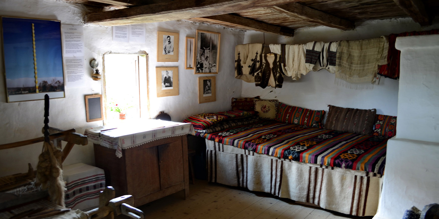 53502671970_336146d55f_o-2