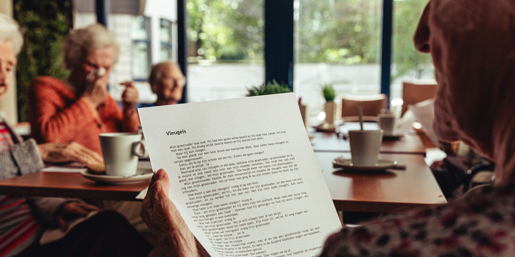 53516400566_c55c9a4ea2_o-3