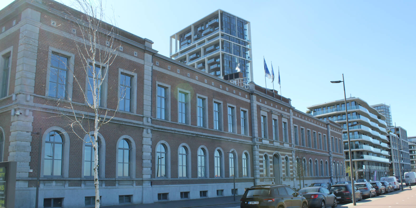 53639891234_e79c88579e_o-1