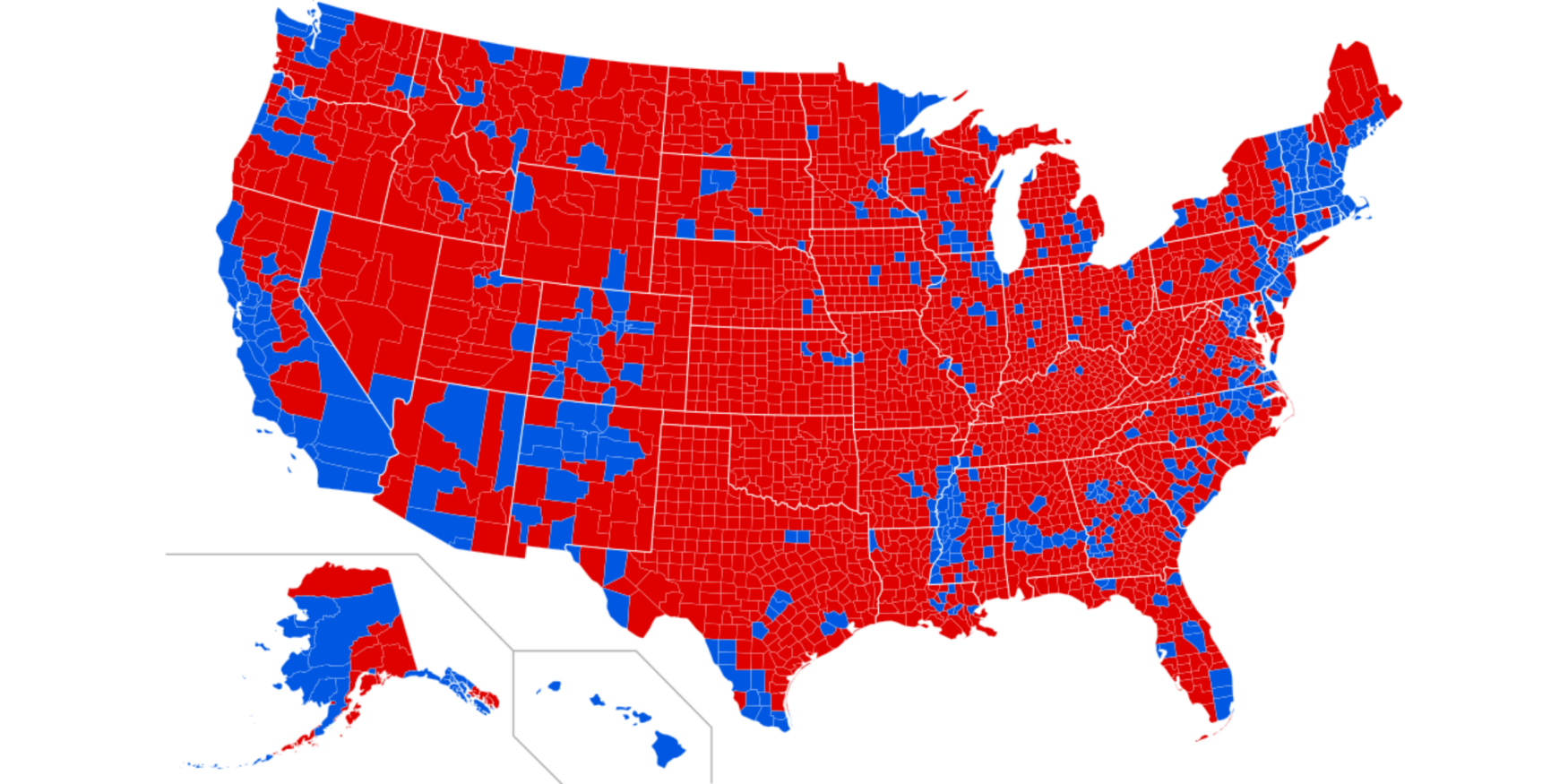 53741045969_a21a2fb3df_o-2