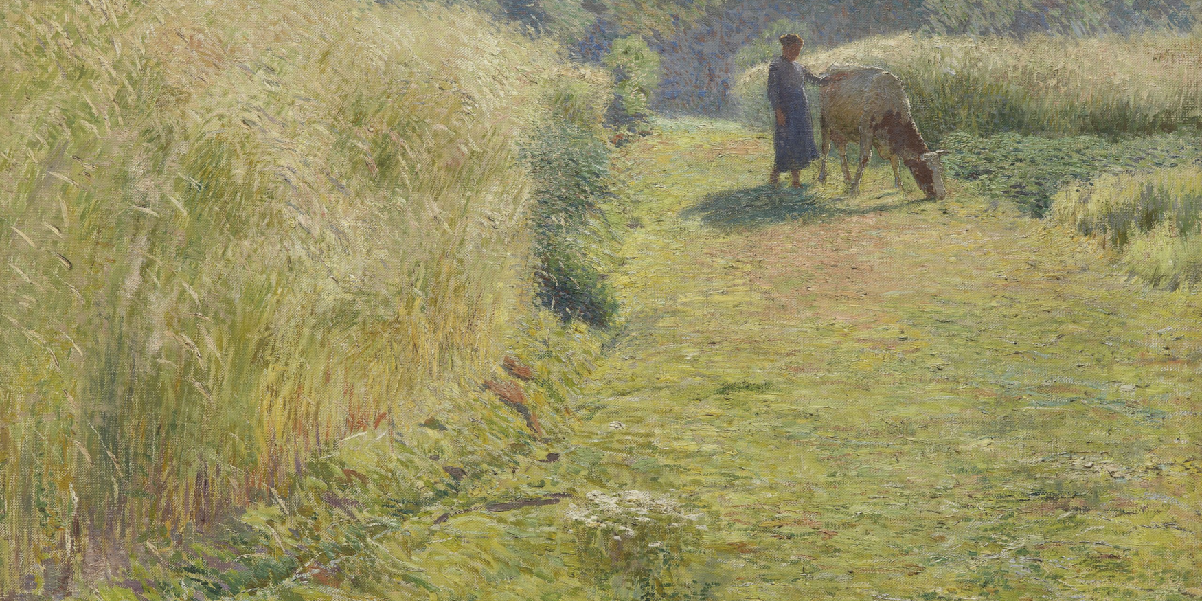 53814862771_1544f9b8b4_o