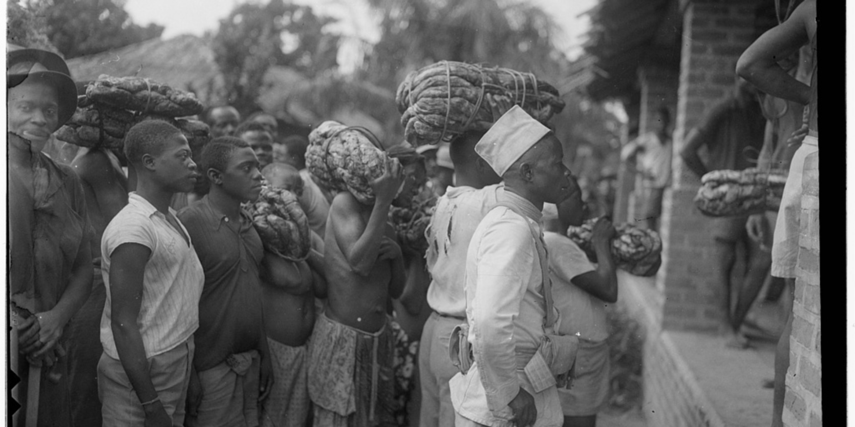 53814929156_408382d7c4_o-1