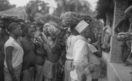 53814929156_408382d7c4_o-1