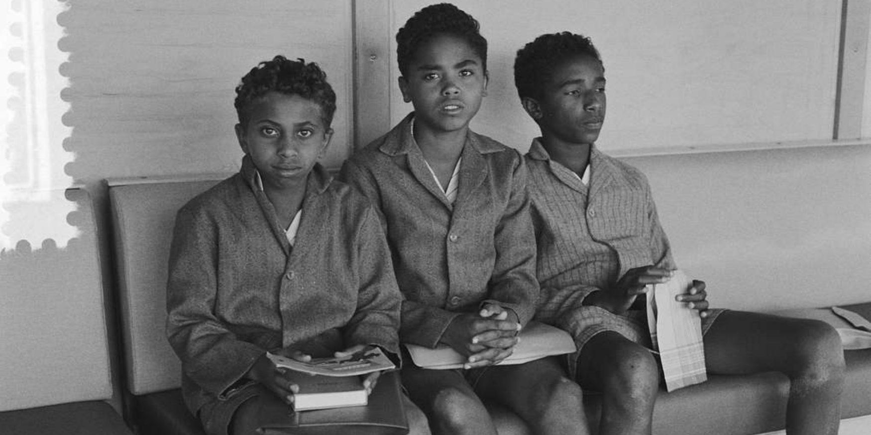 53815172628_b959fb6bc4_o