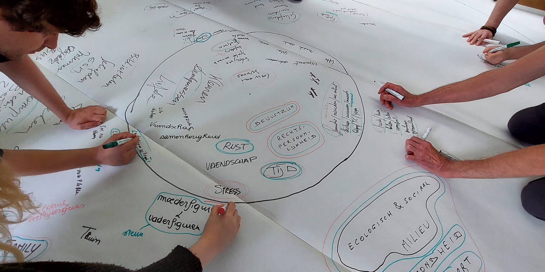 53800881077_f911b74d26_o