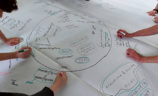 53800881077_f911b74d26_o