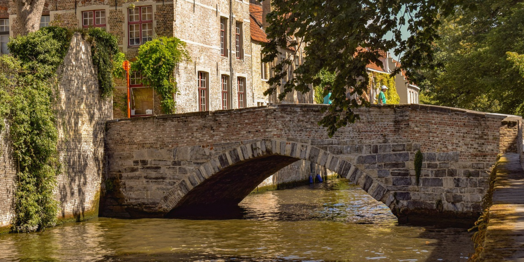 53860741083_ffb32155fa_o-1