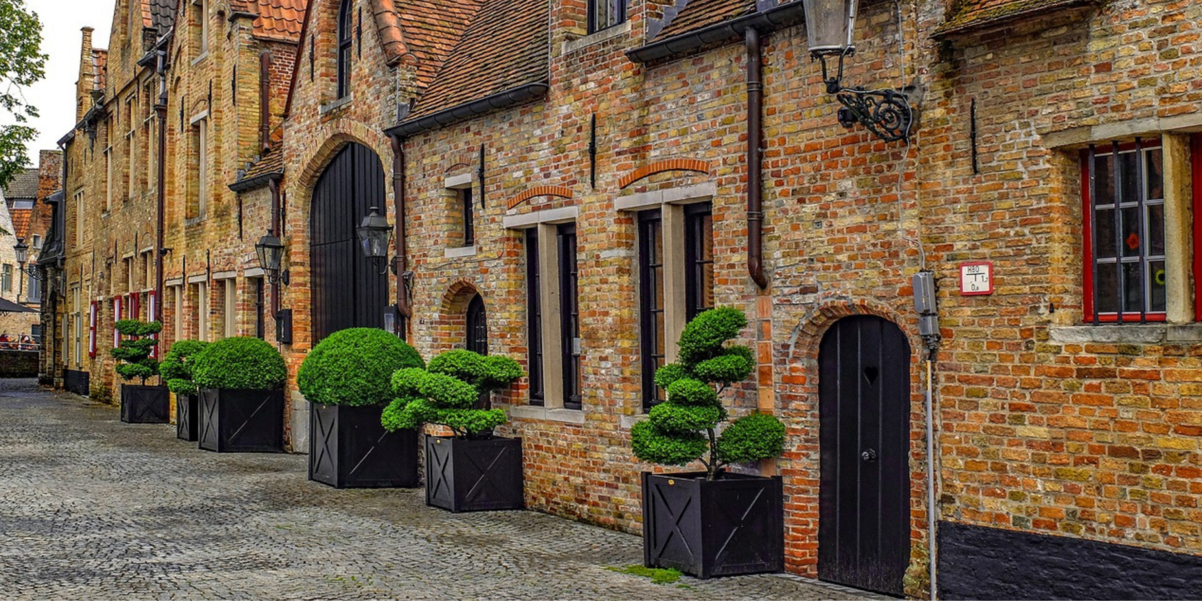 53860862124_a268130f7f_o