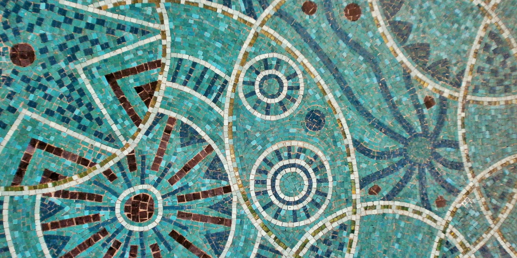 54152150297_625f583664_o-2