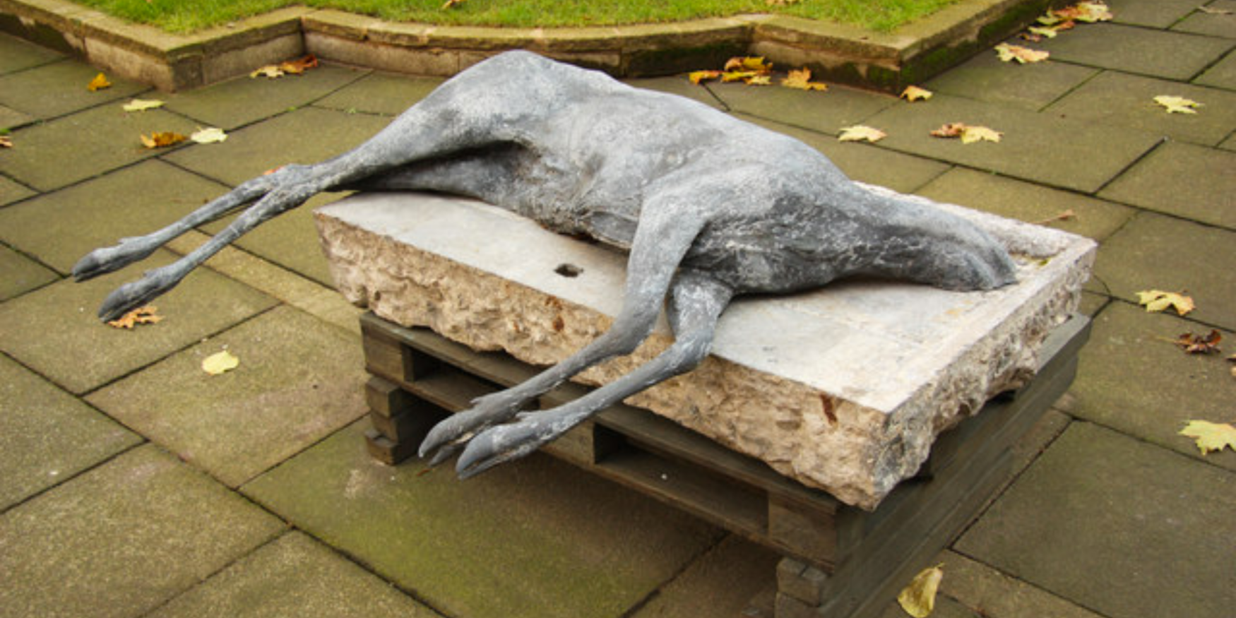 54153010586_4f2ac565ce_o-2