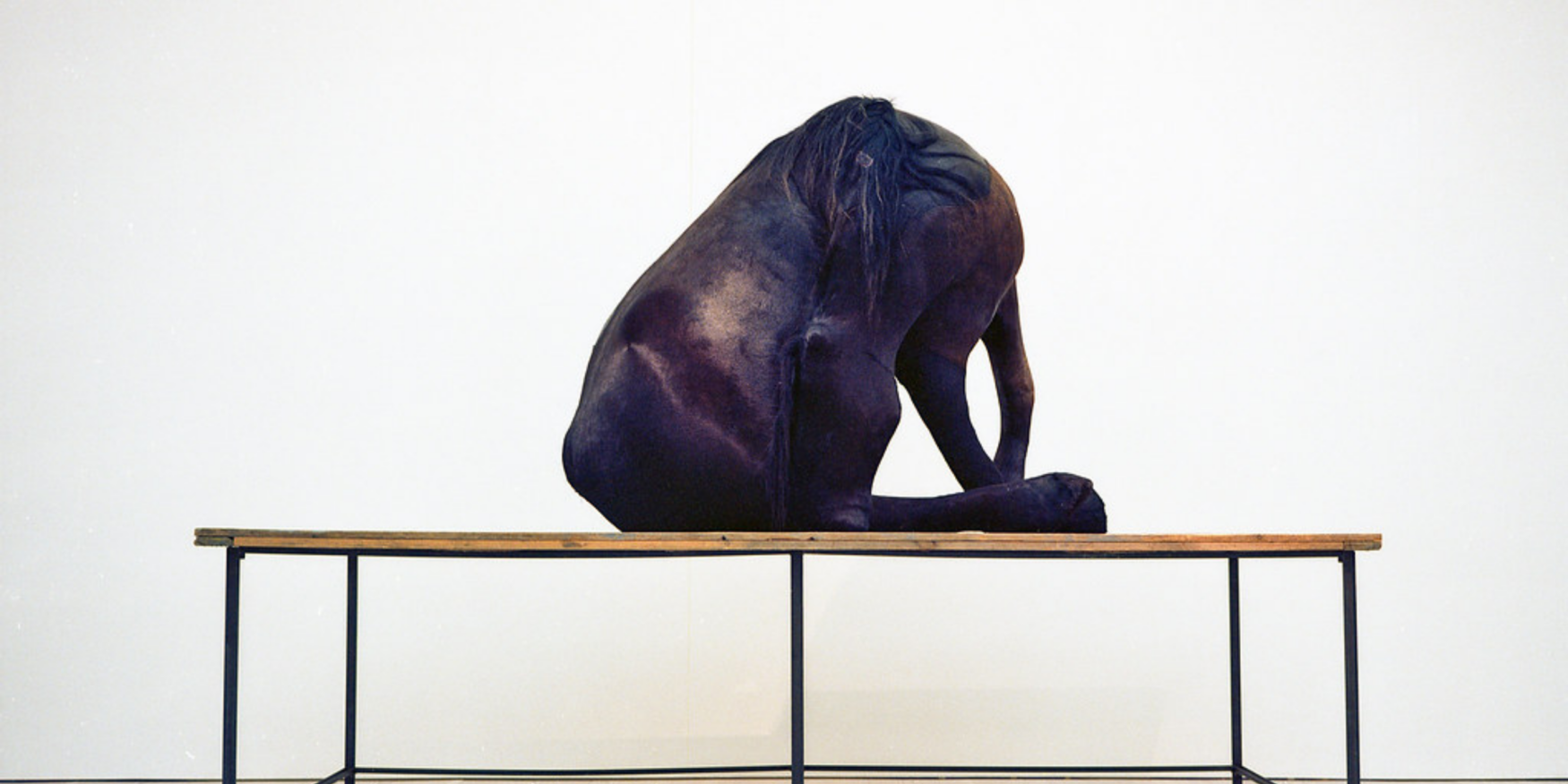 54153468980_6a5d6a2b86_o