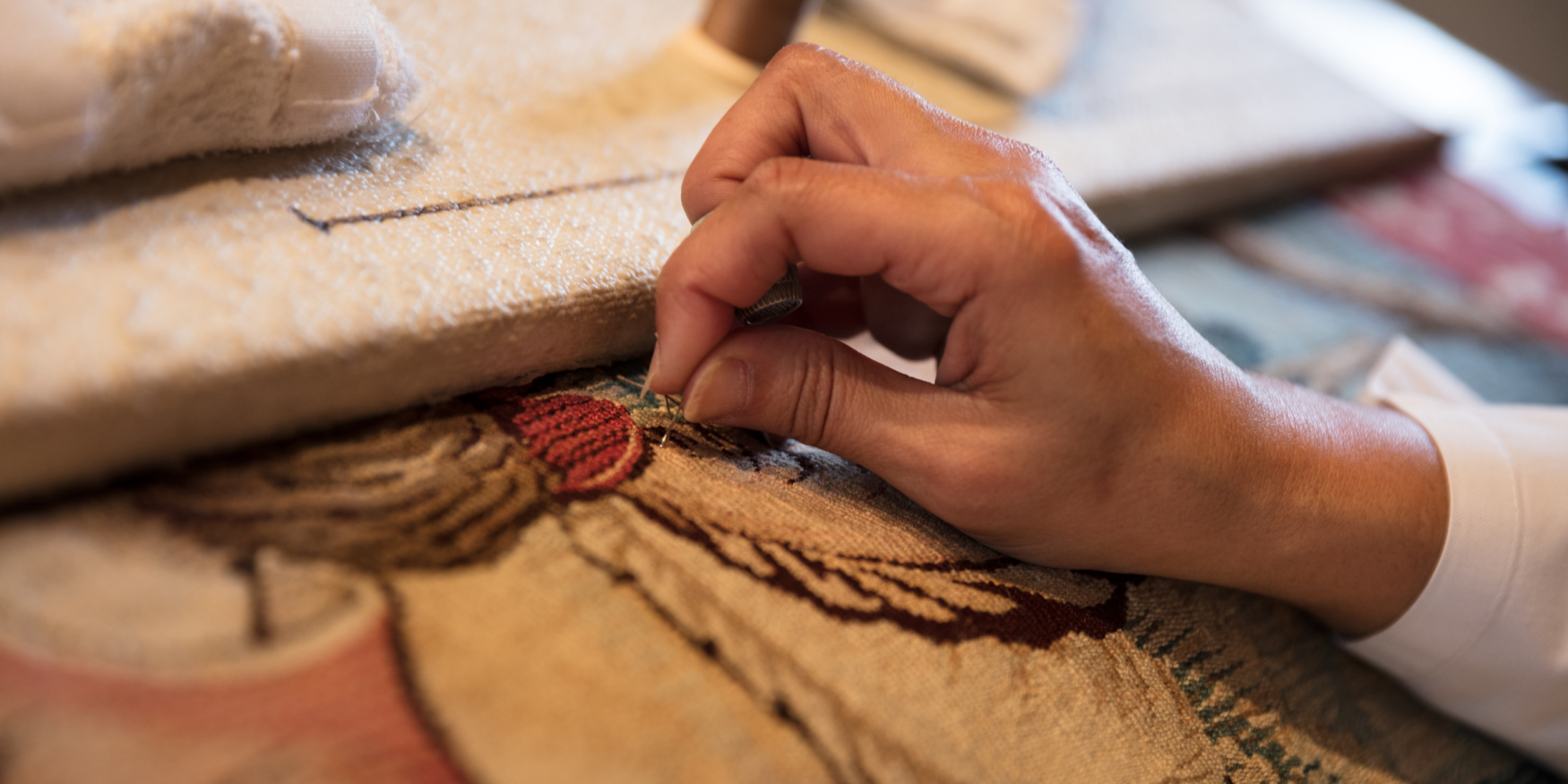 54170372740_05d9fc7b10_o