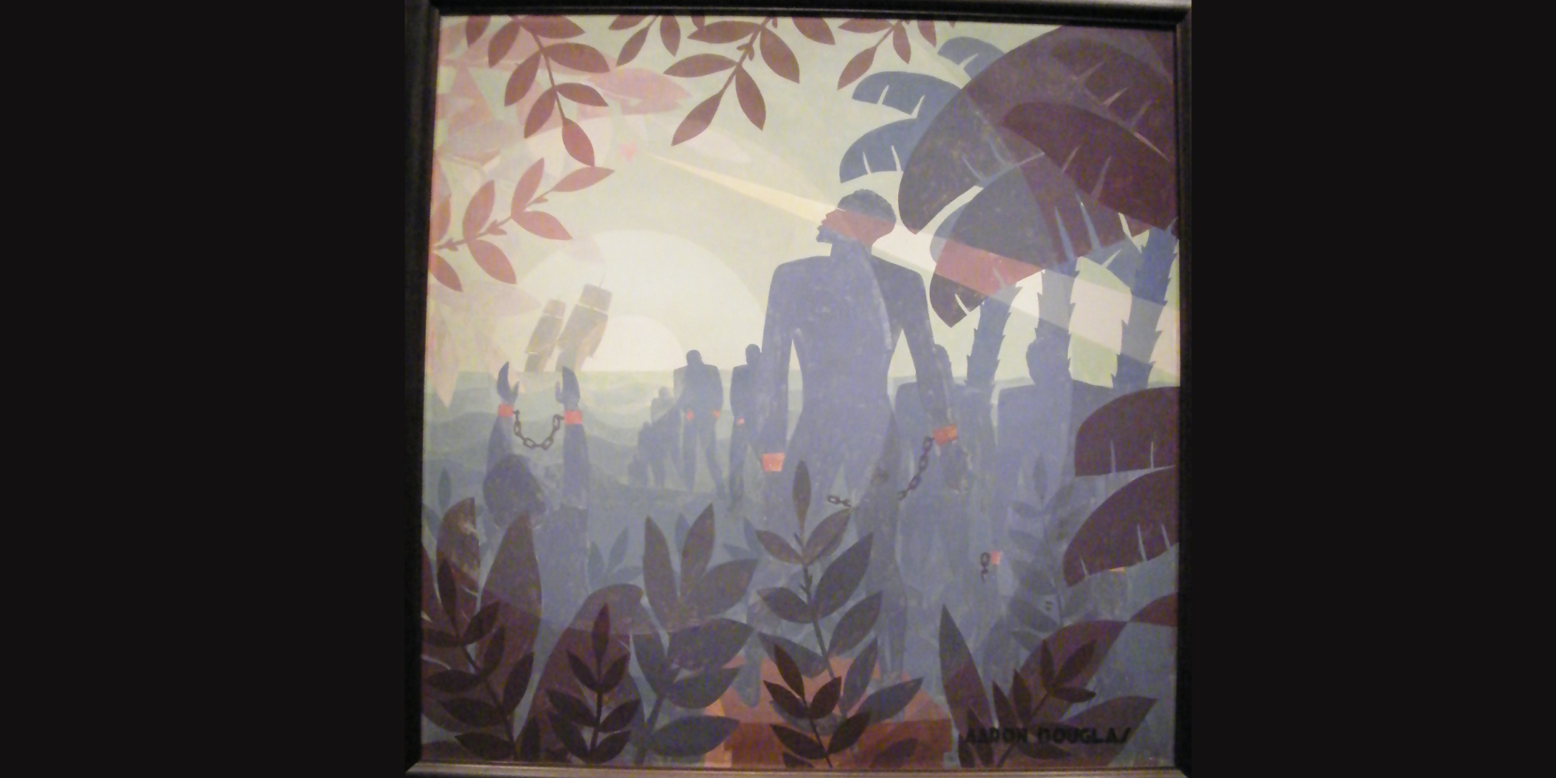 54199795320_5285a8eb03_o-1