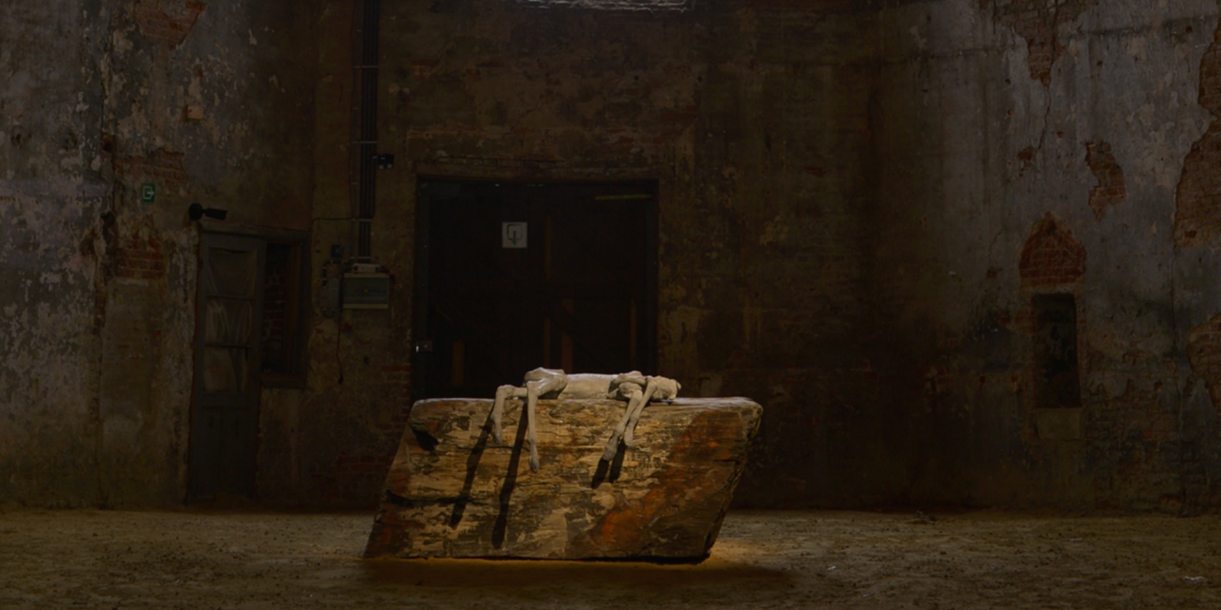 54153010576_1a5e2fd719_o-1