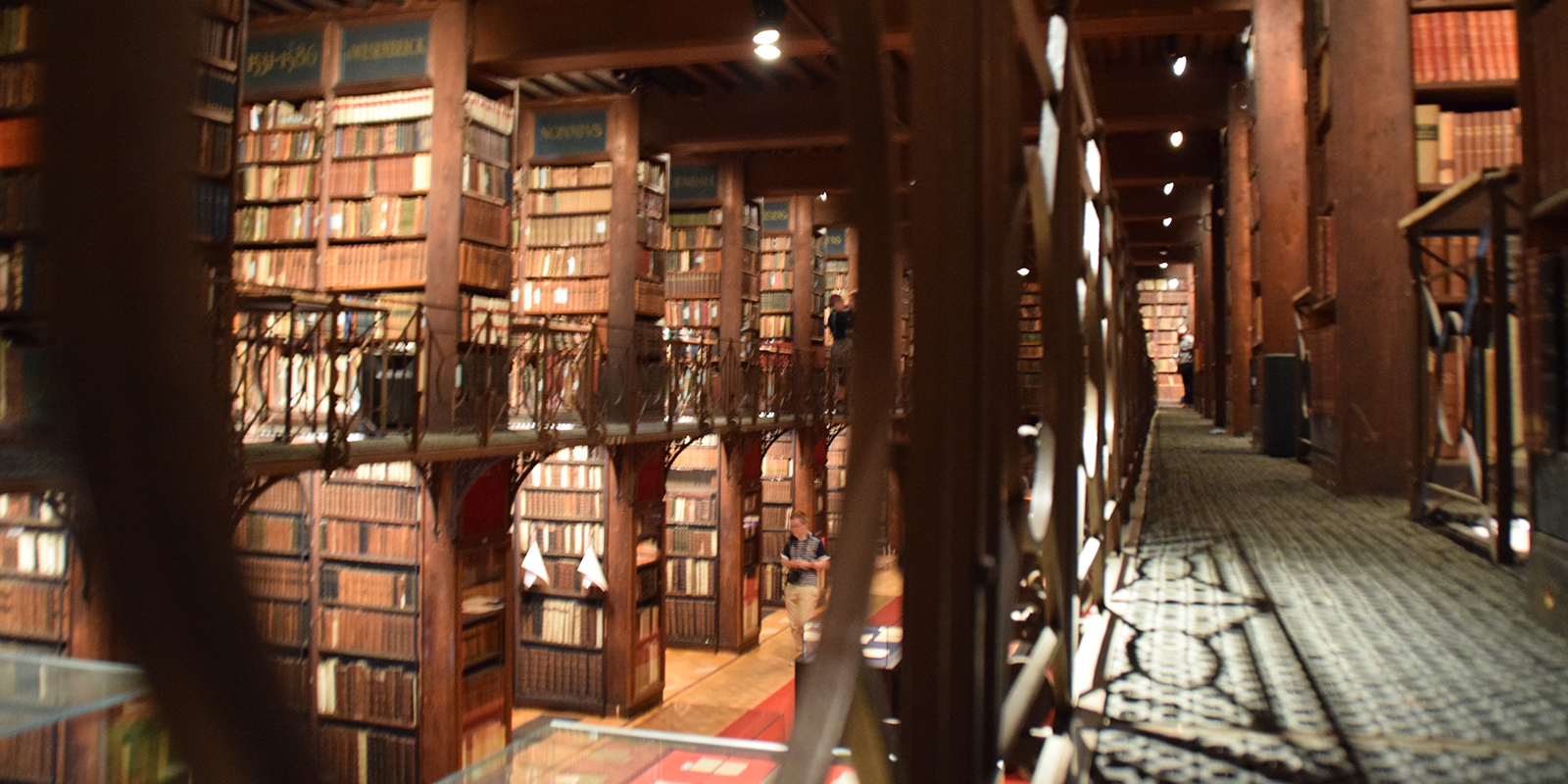 52765556622_1ae29e0145_o