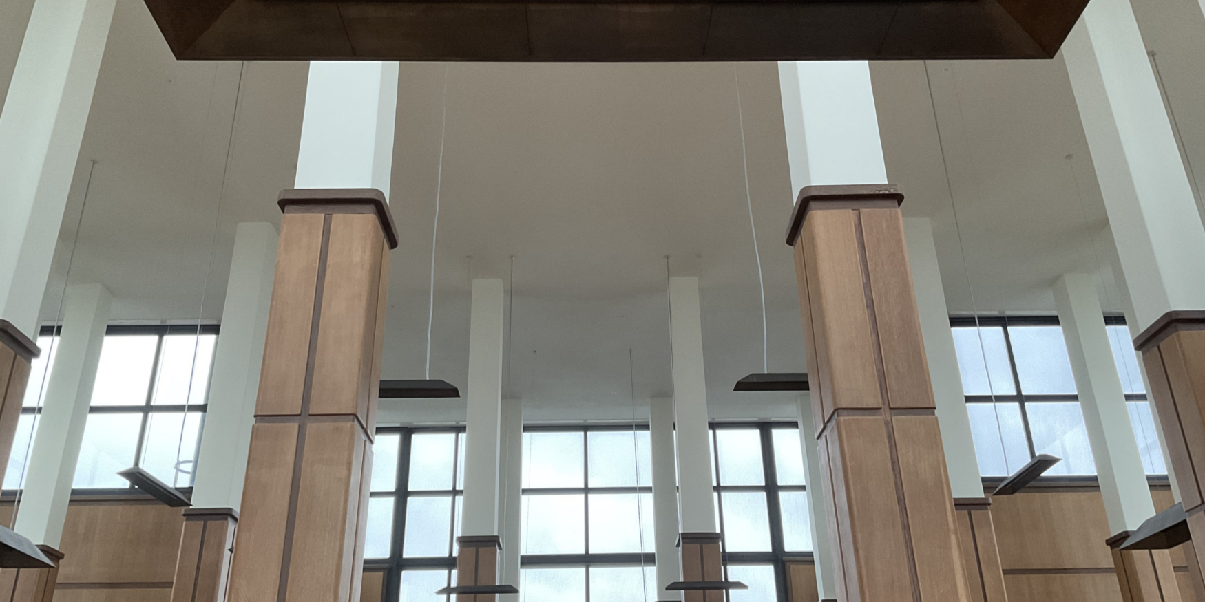 54282698773_57824b7674_o