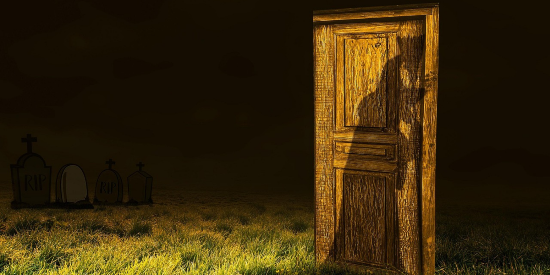 54339652885_ac6fb54a87_o