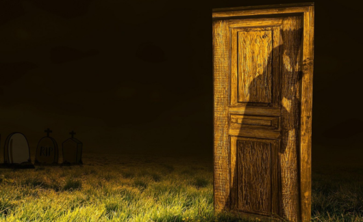 54339652885_ac6fb54a87_o