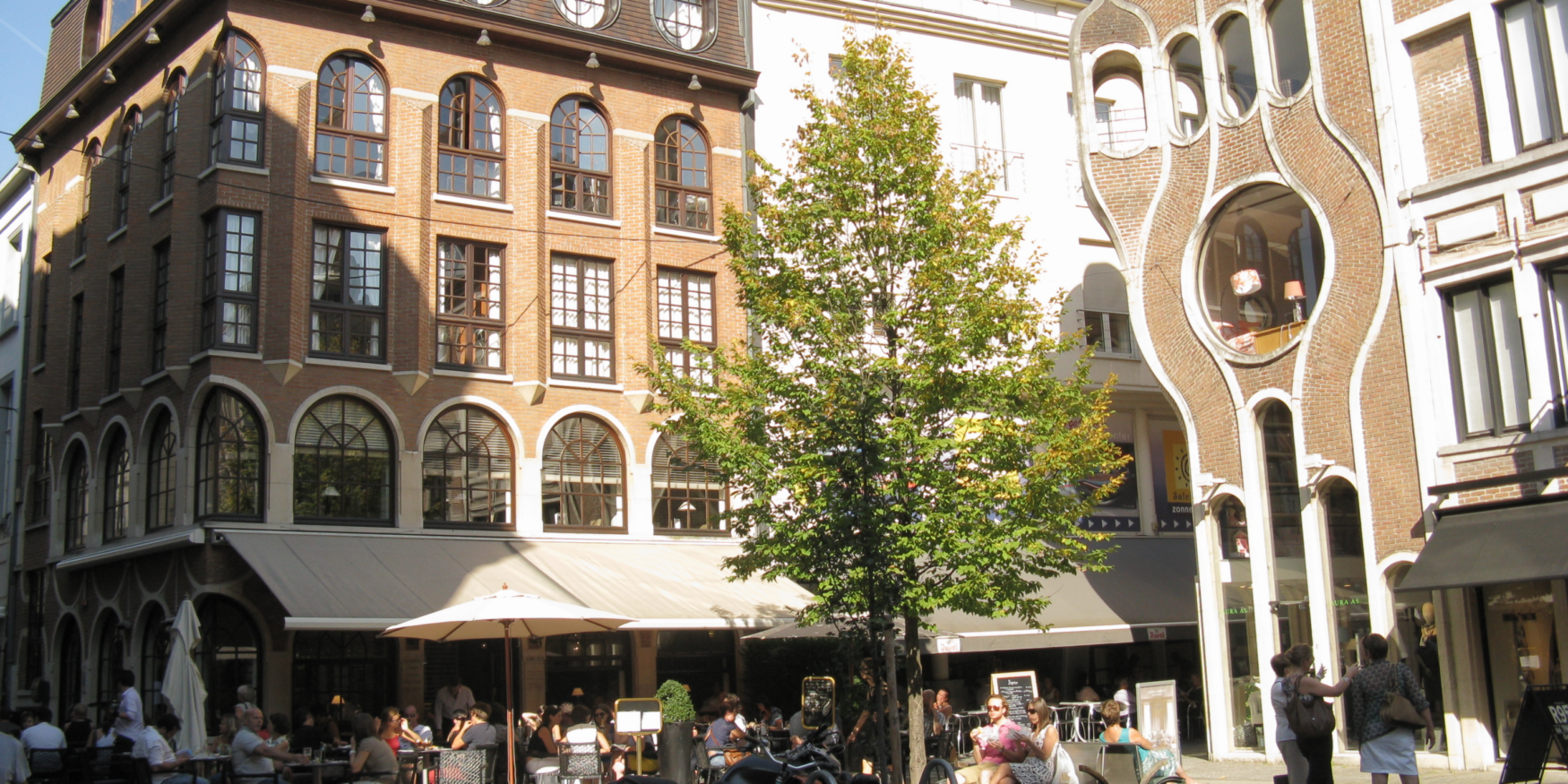 53696068164_c571578a15_o