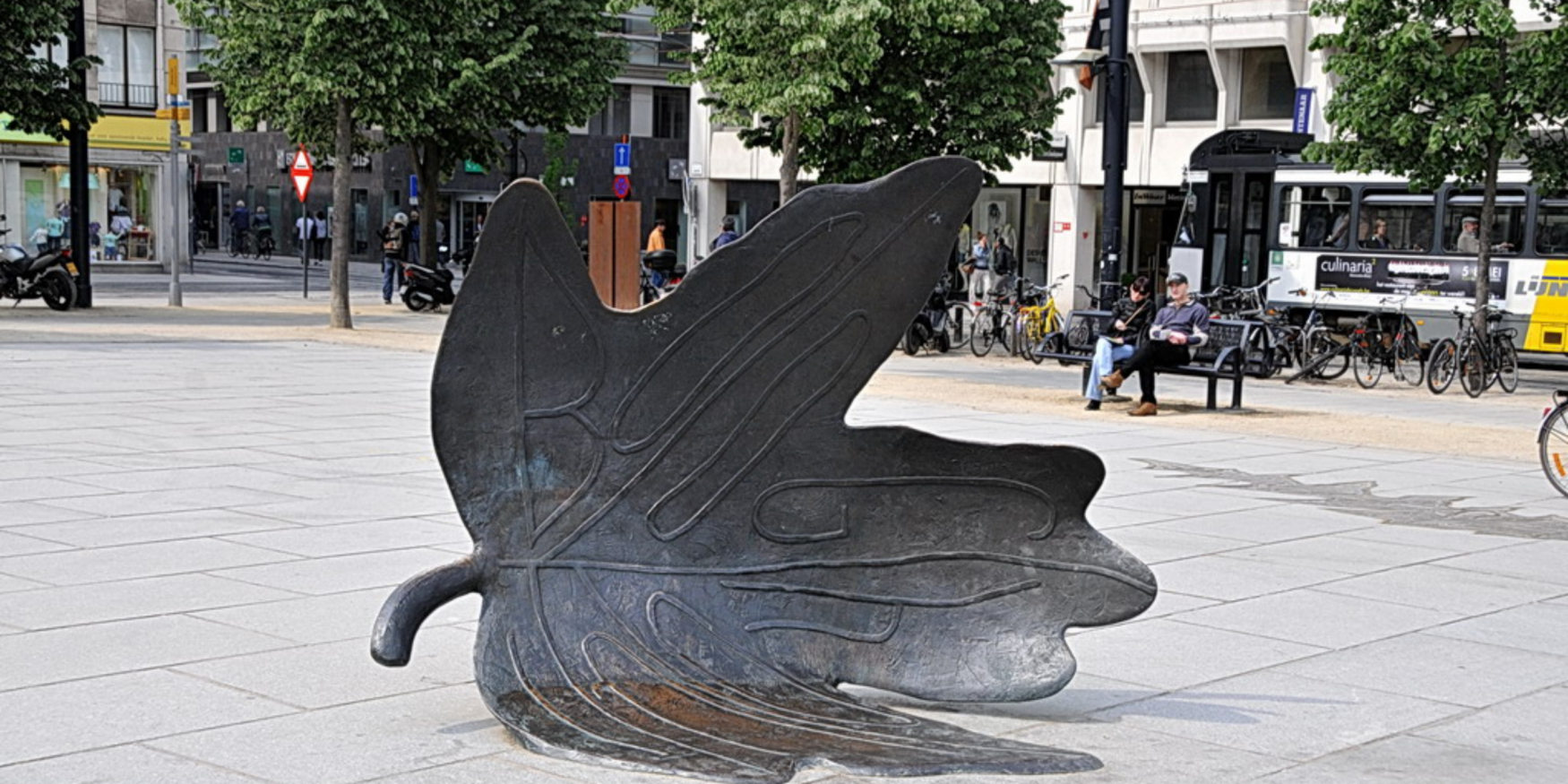 53696069234_957c1319cc_o