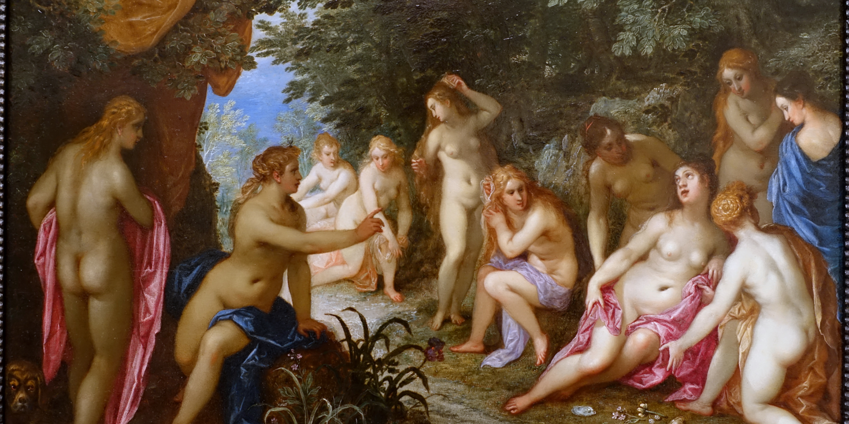 54394757265_207a55cac3_o