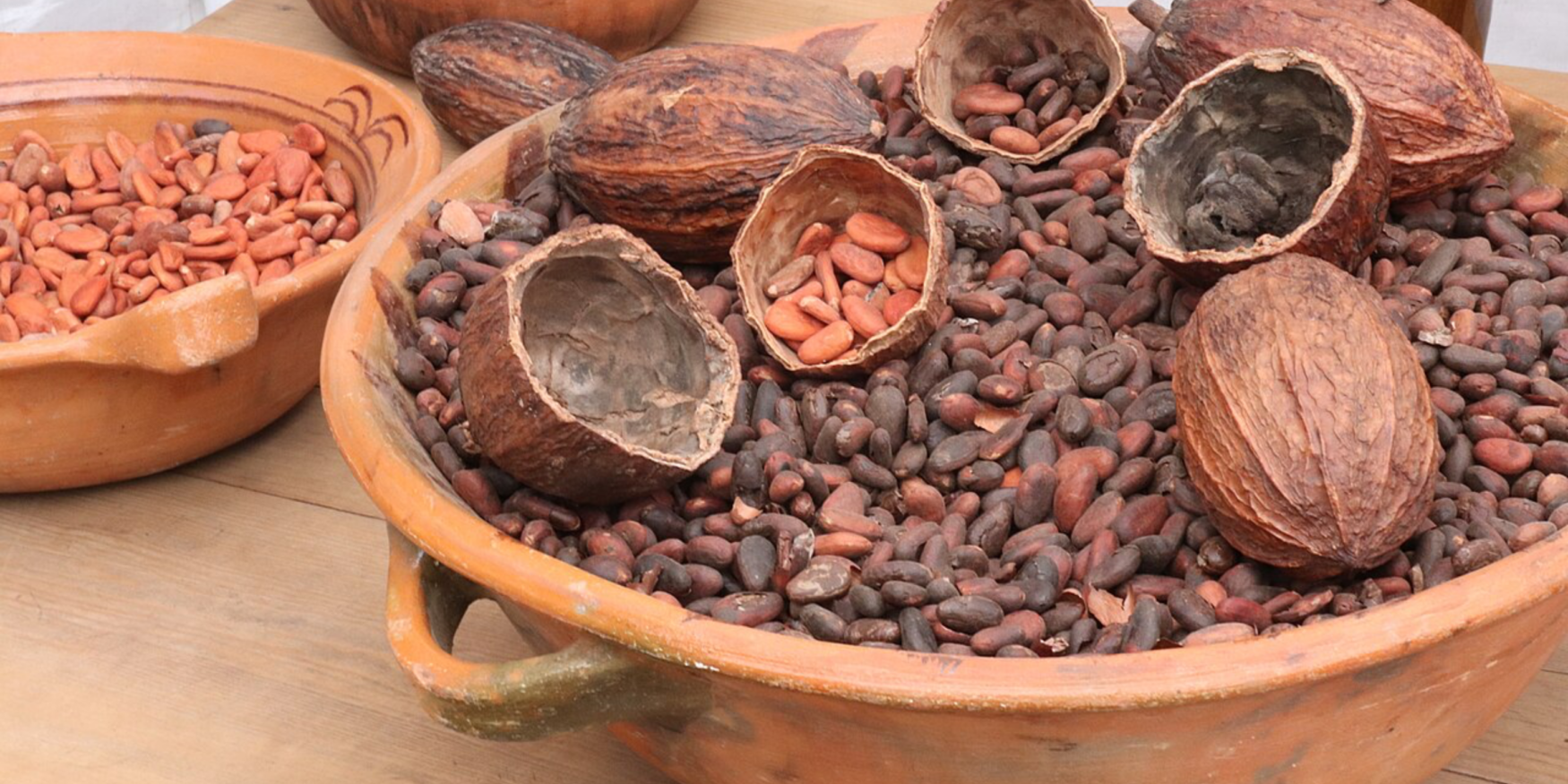 schaal met cacaobonen