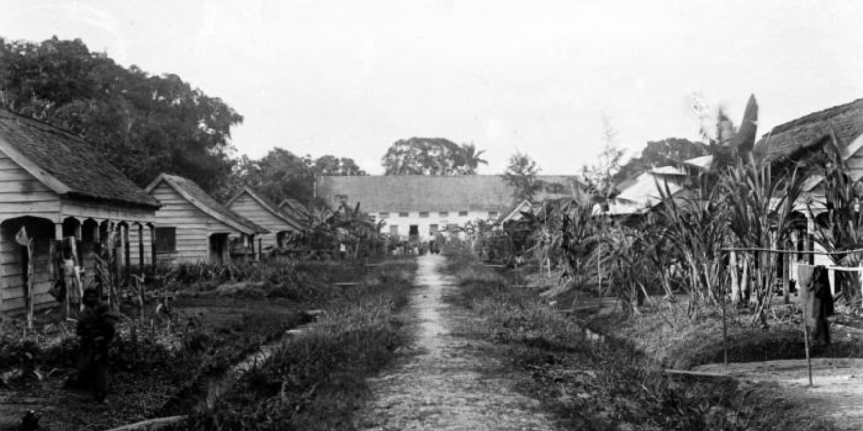 huisjes op een cacaoplantage