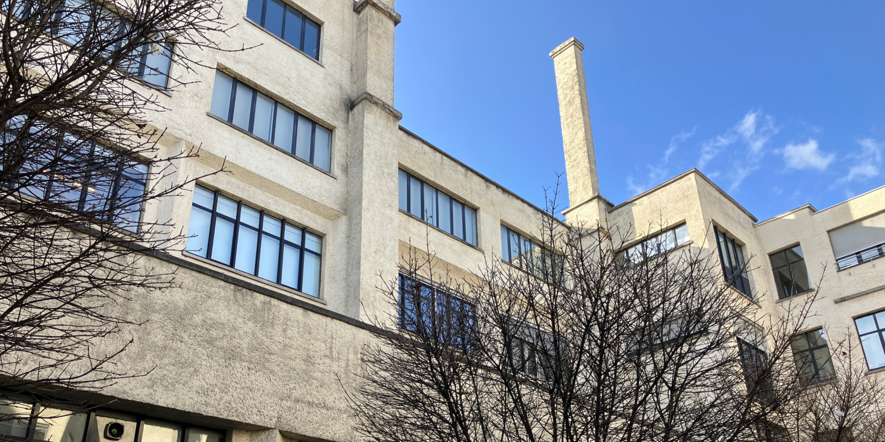 55132137583_97748444d3_o