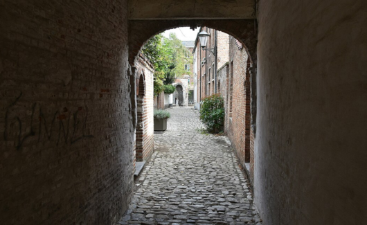 55150940555_a229cdcafa_o